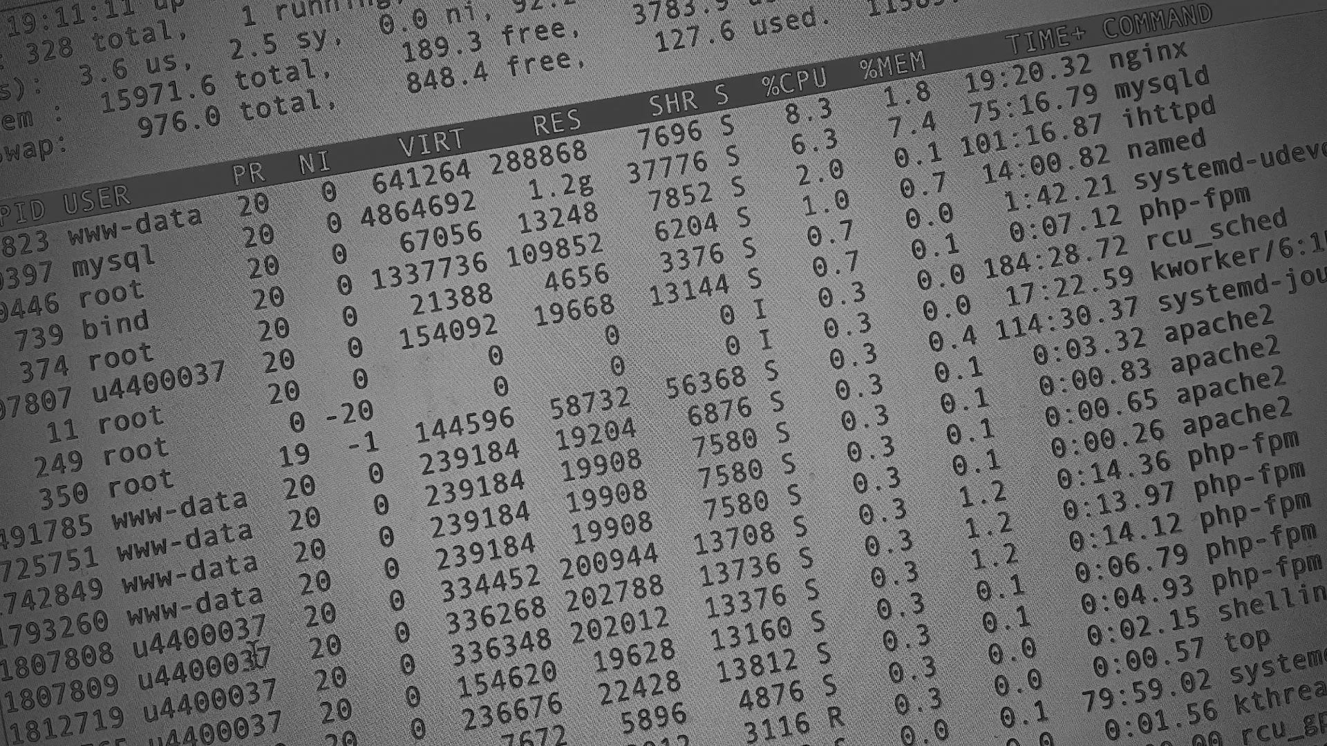 Настройка сервера в Лисках